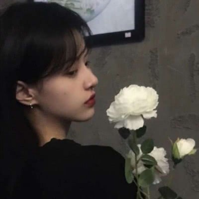 宅宅萝卜美丽小镇游戏下载